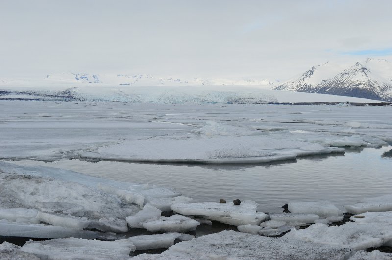 Jokulsarlon (13).JPG